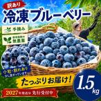 訳あり 冷凍 ブルーベリー 1.5kg