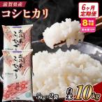 近江米コシヒカリ 10kgx6回定期便