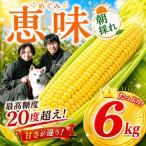 めぐみ 朝採れ とうもろこし 6kg