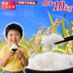 令和7年度産 米 精米 10kg