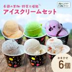 ジェラート 6個詰め合わせ セット フルーツアイス
