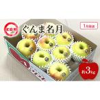 りんご ぐんま名月 約 3kg