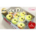 りんごぐんま名月 りんご
