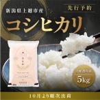 コシヒカリ 精米 上越産 5kg