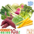 野菜 秋冬 10品