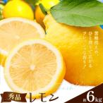 レモン 秀品 6kg