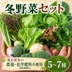 訳あり 野菜セット 冬 5~7種類