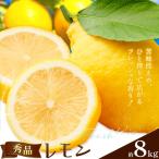 レモン 秀品 8kg