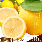 レモン 秀品 10kg