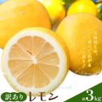 レモン 訳あり 3kg