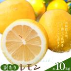レモン 訳あり 10kg