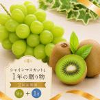 フルーツ 定期便 2回 香緑キウイ シャインマスカット
