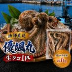 fu.... налог Seto внутри море. . комплект сырой осьминог наклон примерно 1kg Yamaguchi префектура flat сырой блок 