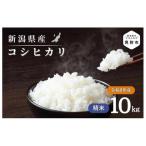 米 令和8年産 コシヒカリ10kg