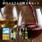 W203 赤白ぶどう6品種 6本セット