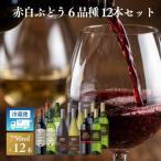 W204 赤白ぶどう6品種 12本セット