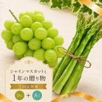 フルーツ 定期便 2回 アスパラ シャインマスカット