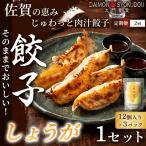 ふるさと納税 大門餃子 しょうが(12個入×3P) 1セット：B220-048 佐賀県佐賀市