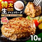 食べ応え抜群 生ハンバーグ 200g