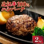 ハンバーグ10個 近江牛100% ハンバーグ