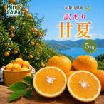 甘夏 訳あり 5kg