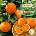 清見 訳あり 5kg