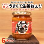 じみーに辛いうまくて生姜ねぇ 6本セット