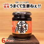 うまくて生姜ねぇ 生姜焼き専用 6本セット