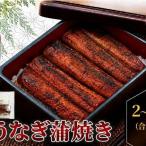 うなぎ 蒲焼き 大サイズ