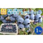 8年夏季予約販売 1kg