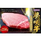 夢咲牛ヒレステーキ 約250g