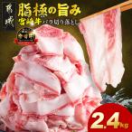 宮崎牛バラ切り落とし2.4kg 宮崎牛