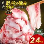 牛肉 バラ カルビ 宮崎牛バラ切り落とし2.4kg