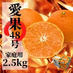 愛果48号 約2.5kg