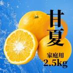 甘夏 約2.5kg