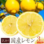 訳あり レモン サイズ混合 3kg