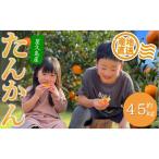 訳あり 屋久島産たんかん4.5kg満杯箱