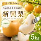 Y1077 新興梨 5kg