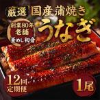 うなぎ 蒲焼き約190g×1尾 鰻蒲焼き