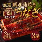 うなぎ 蒲焼き約190g×3尾 鰻蒲焼き