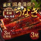 うなぎ 蒲焼き約190g×3尾 鰻蒲焼き
