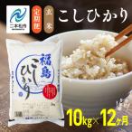 玄米 令和8年産 こしひかり 10kg