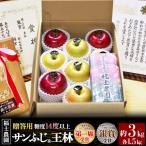 りんご 計約3kg 糖度14度以上保証