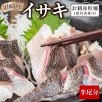イサキ 皮付き 炙り 半身分