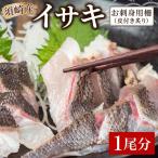 イサキ 皮付き 炙り 1尾分