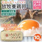 卵 定期便 6回 放牧養鶏卵 10個