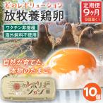 卵 定期便 9回 放牧養鶏卵 10個