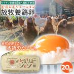 卵 放牧養鶏卵 20個