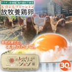 卵 放牧養鶏卵 30個