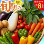 島根県松江市 旬の野菜セット　ふるさと納税 【旬の野菜セット】野菜 産地直送 詰め合わせ 栽培期間中農薬不使用 セット　島根県松江市/須山農園[ALBD004] 島根県松江市